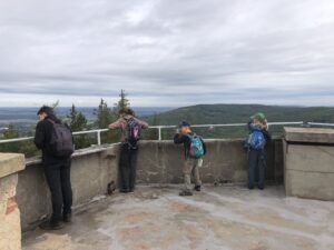 Lesem z Hostomic na Dobříš